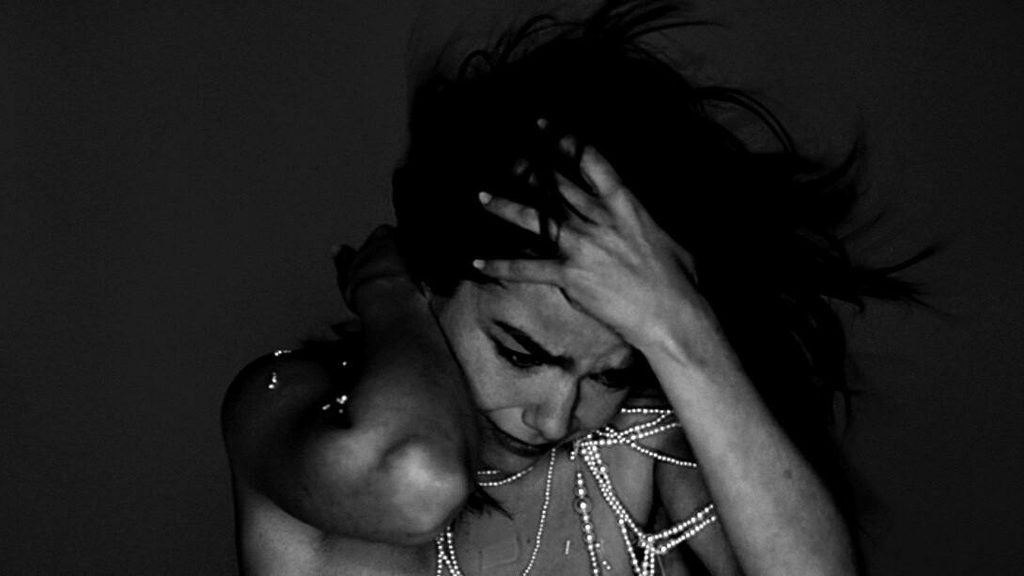 Vespertine de Björk 3