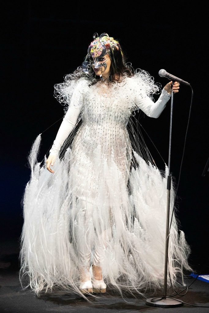 Vespertine de Björk 5